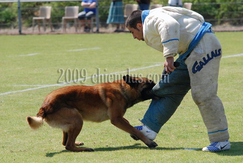 3 EME SELECTIF 2009 GRANDE SYNTHE 148.jpg